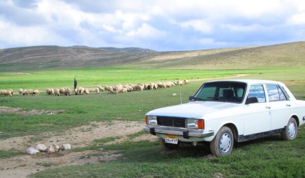 ایران خودرو پیکان جوانان